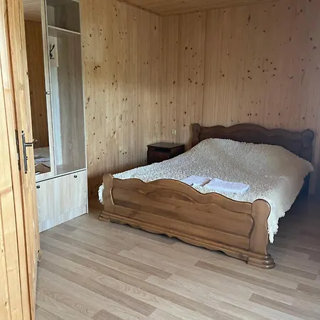 карпатський дзвін з басейном Гостьовий будинок Лазещина